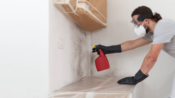 Professional Bathroom Mold Removal technician working in Hempstead, NY