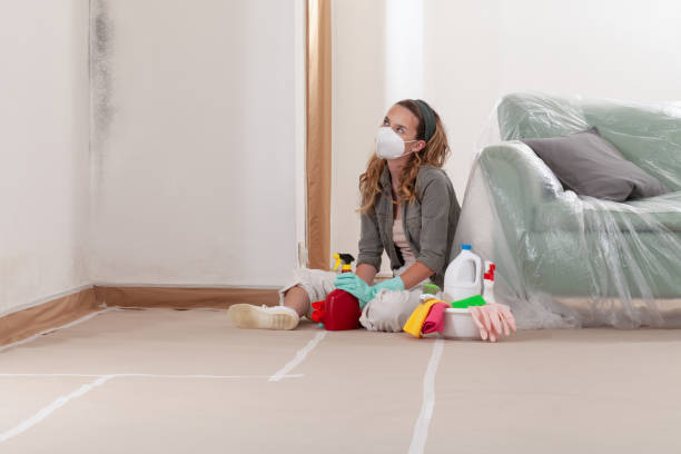 Reliable Bathroom Mold Removal contractor in Hempstead, NY by WQB Mold Removal